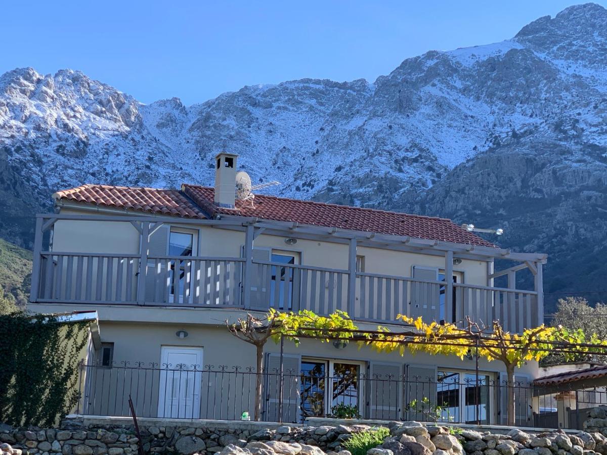 Casa Basgiu, Chambres Avec Balcon Et Table D'Hotes Zilia Eksteriør billede