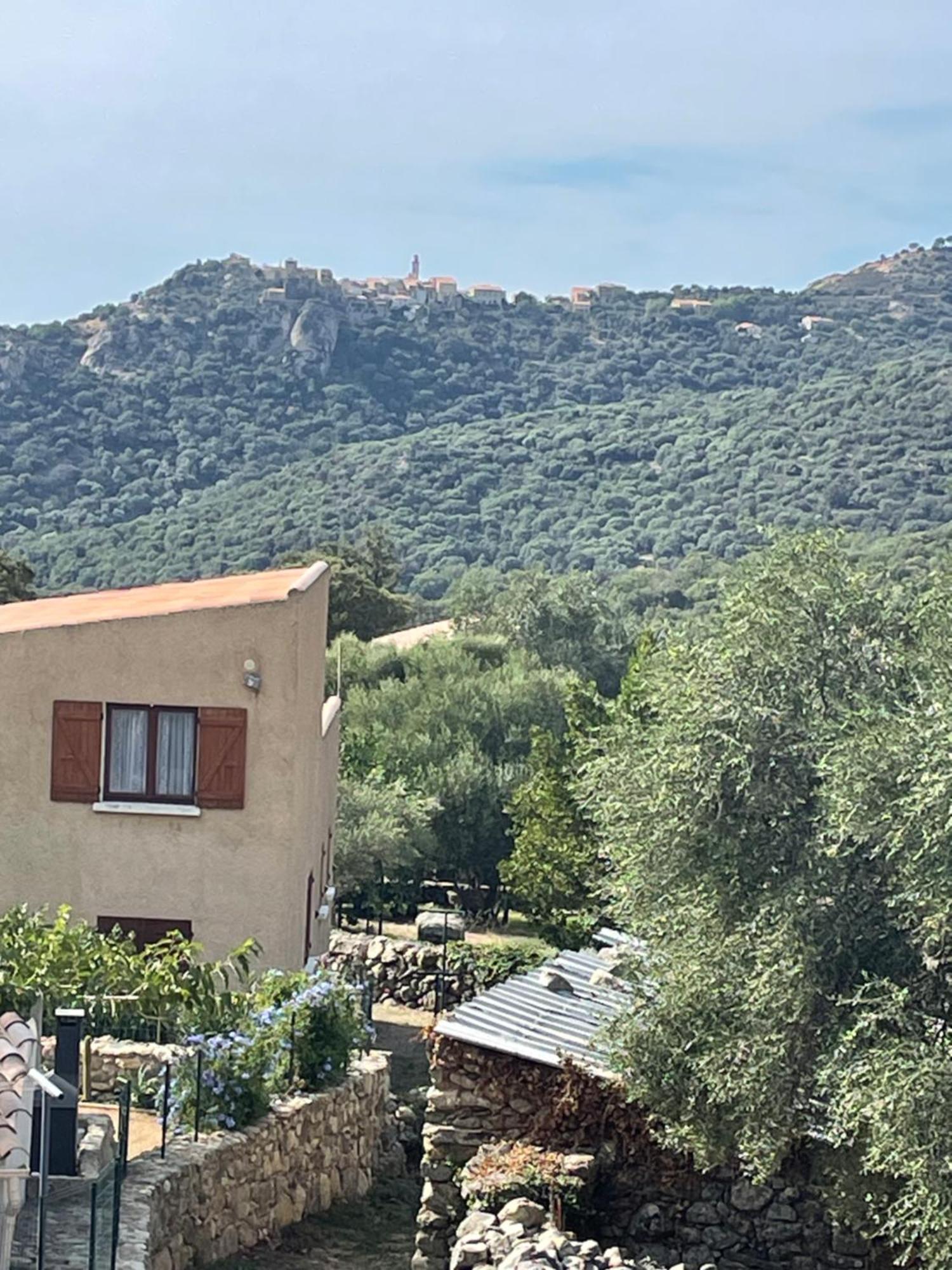 Casa Basgiu, Chambres Avec Balcon Et Table D'Hotes Zilia Eksteriør billede
